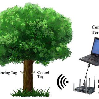 determining moisture content in wood by rfid tags|Living Tree Moisture Content Detection .